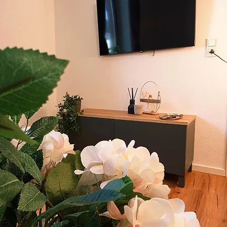 Zum Goldgraeber - Stilvoll Wohnen - Parkplatz - Perfekt Fuer Moselurlaub Appartement *