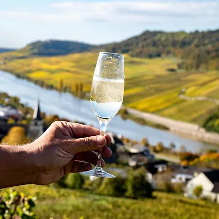 Zum Goldgraeber - Stilvoll Wohnen - Parkplatz - Perfekt Fuer Moselurlaub برنكاستيل كويس