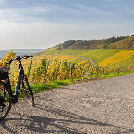 Zum Goldgraeber - Stilvoll Wohnen - Parkplatz - Perfekt Fuer Moselurlaub