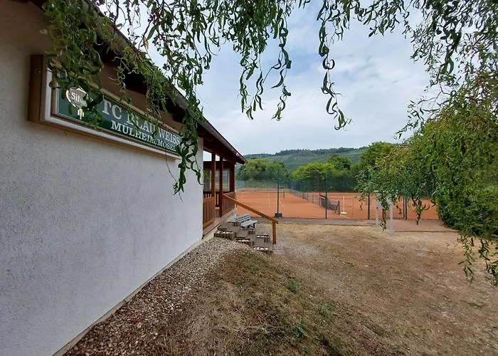 Zum Goldgraeber 아파트 *