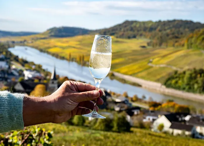 Zum Goldgraeber - Stilvoll Wohnen - Parkplatz - Perfekt Fuer Moselurlaub برنكاستيل كويس