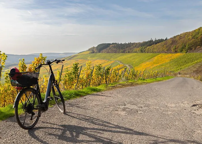 Zum Goldgraeber - Stilvoll Wohnen - Parkplatz - Perfekt Fuer Moselurlaub